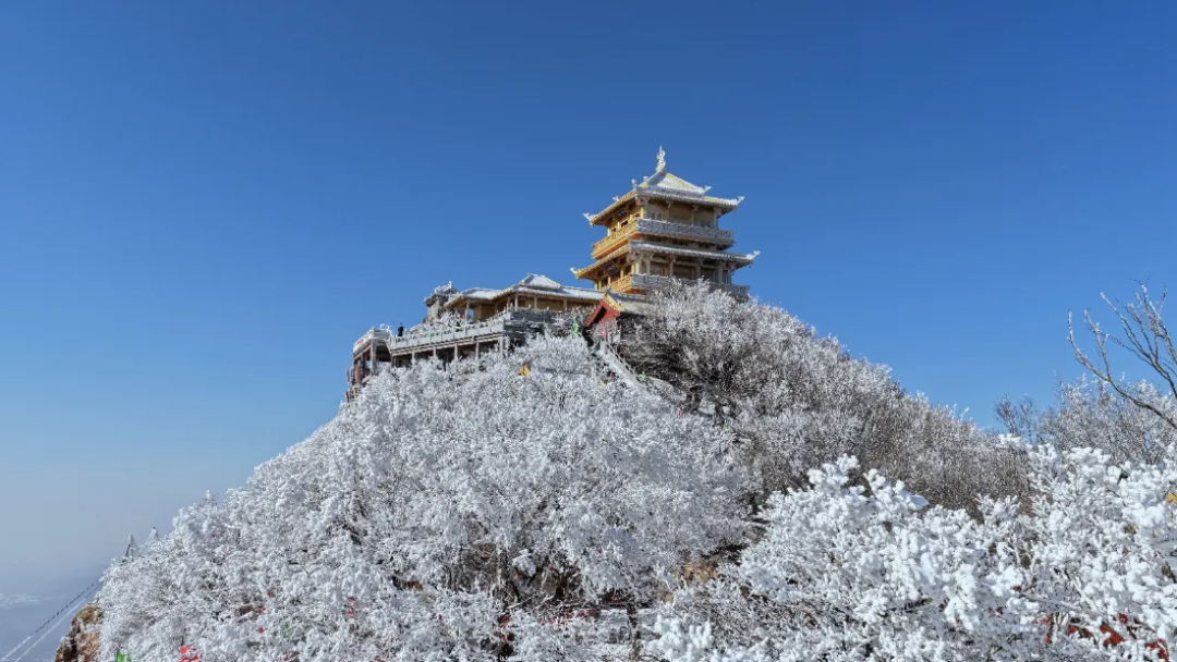 免票!半价!河南多家景区官宣