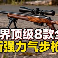 [中配]世界顶级8款全新强力气步枪 - Survival Gear