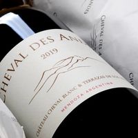 【TA99+RP98分】白马古堡打造：阿根廷名庄旗舰干红，可配原木箱