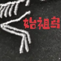 始祖鸟Logo真伪鉴别，看懂这些细节