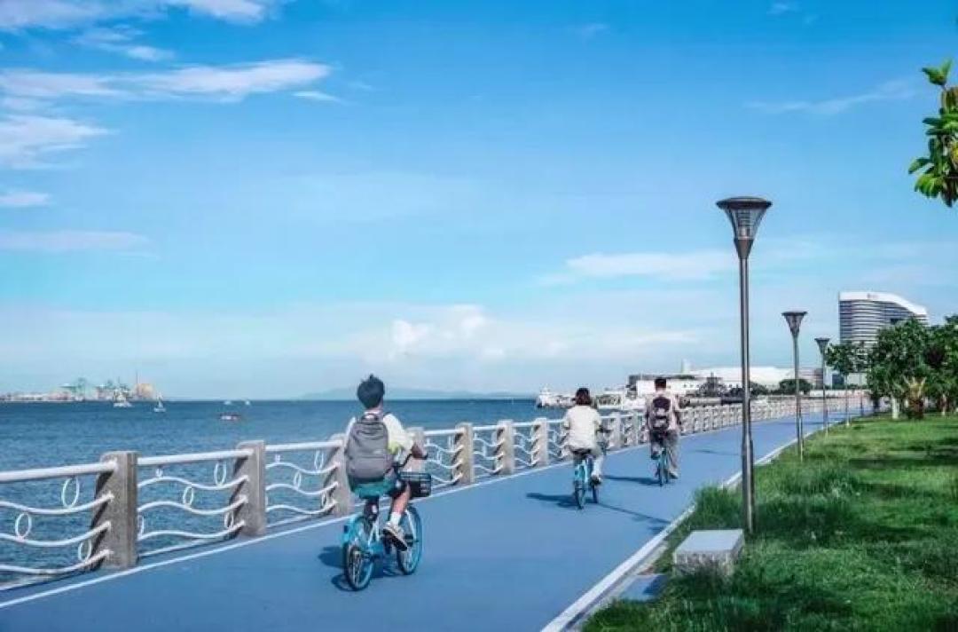 厦门骑行“天花板”!众多明星同款!这个天气太适合→