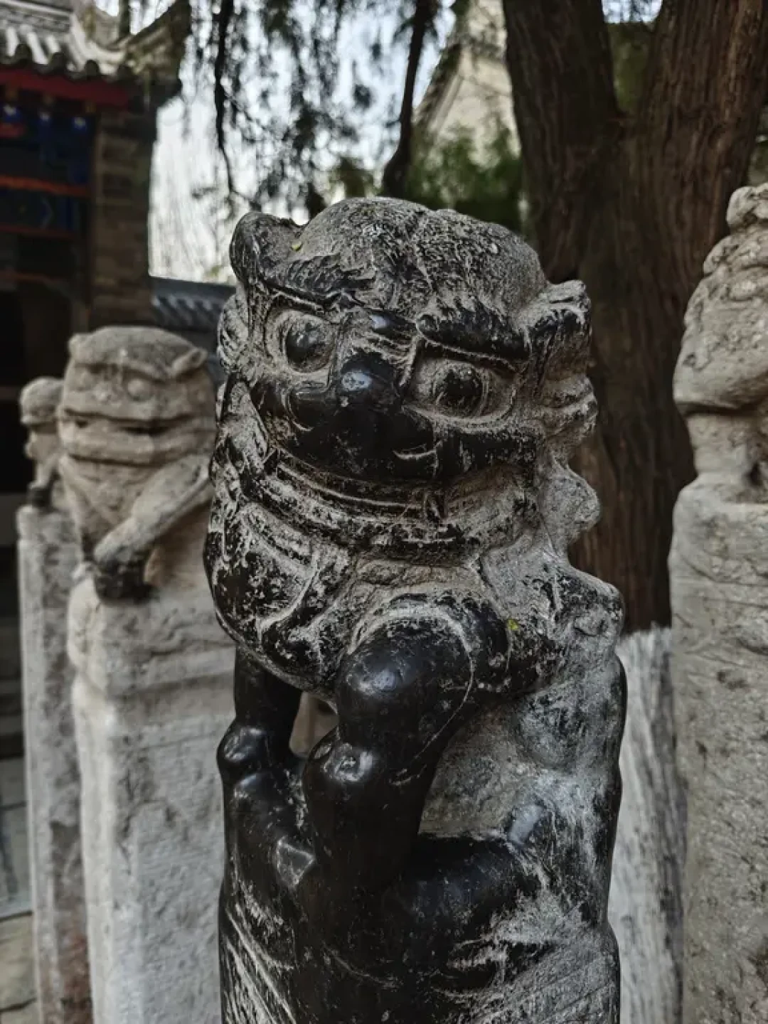 咸阳博物院封神了｜西安周边1h咸阳逛吃攻