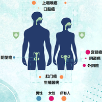 2025年起中国将男性纳入HPV疫苗推荐接种人群，九价疫苗可使男性头颈癌发病风险下降56%
