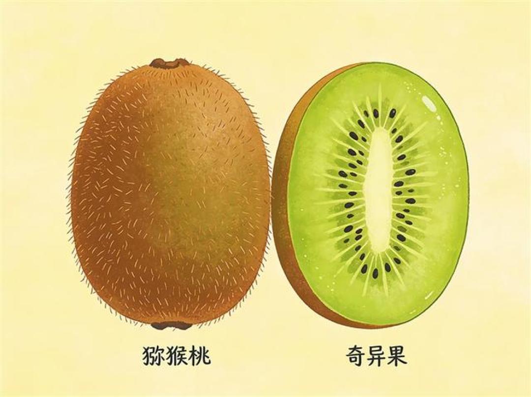 水果双胞胎 傻傻分不清?