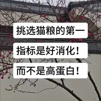 挑选猫粮的第一指标是好消化！而不是高蛋白！#新手养猫 #猫咪呕吐 #猫咪过敏 #猫粮推荐 #猫咪拉稀