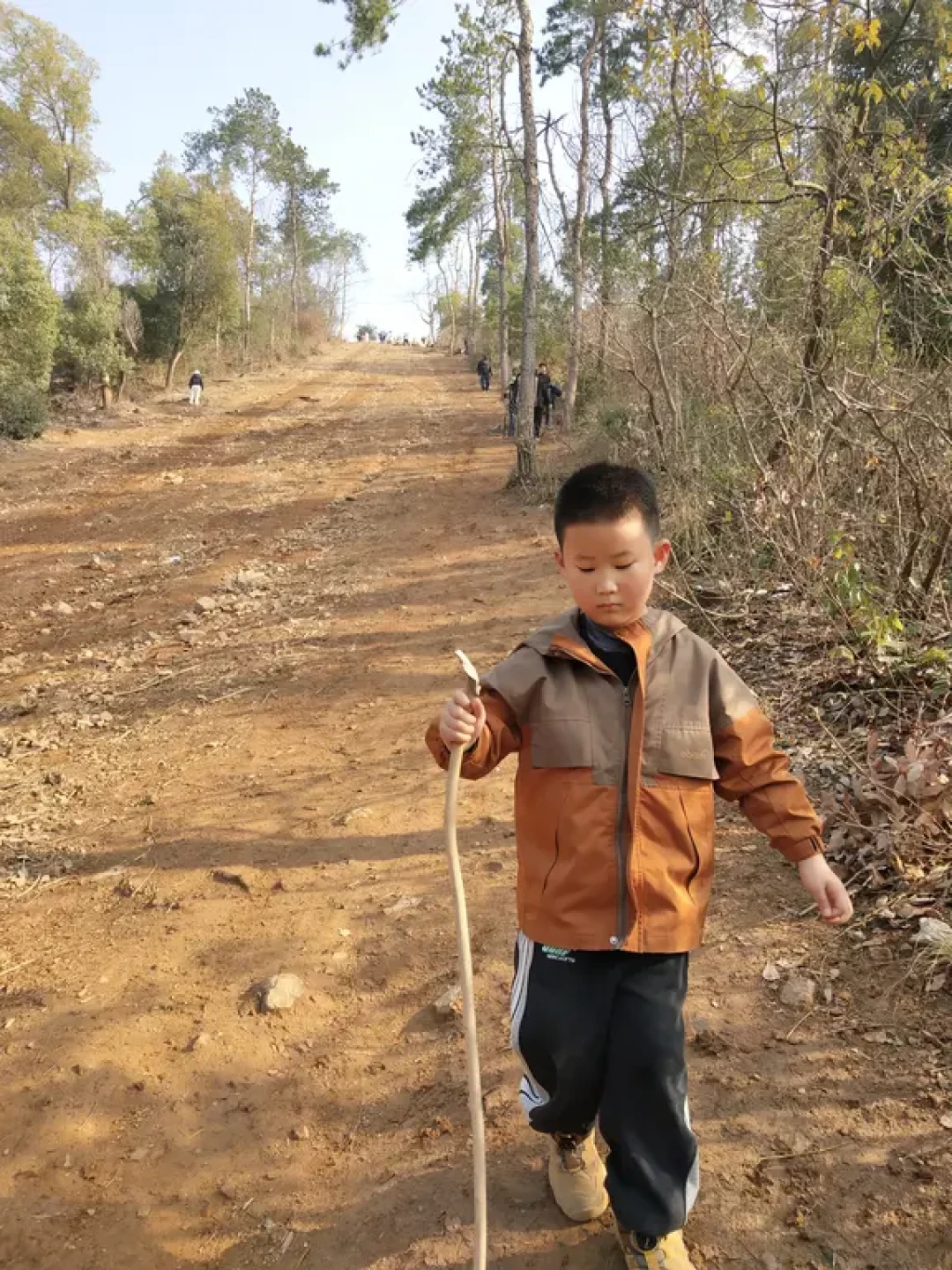 江夏小青八徒爬山6km|不花钱溜娃（11/100）