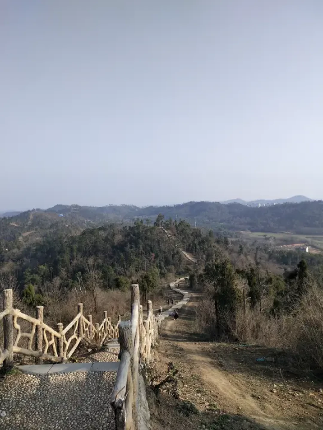 江夏小青八徒爬山6km|不花钱溜娃（11/100）