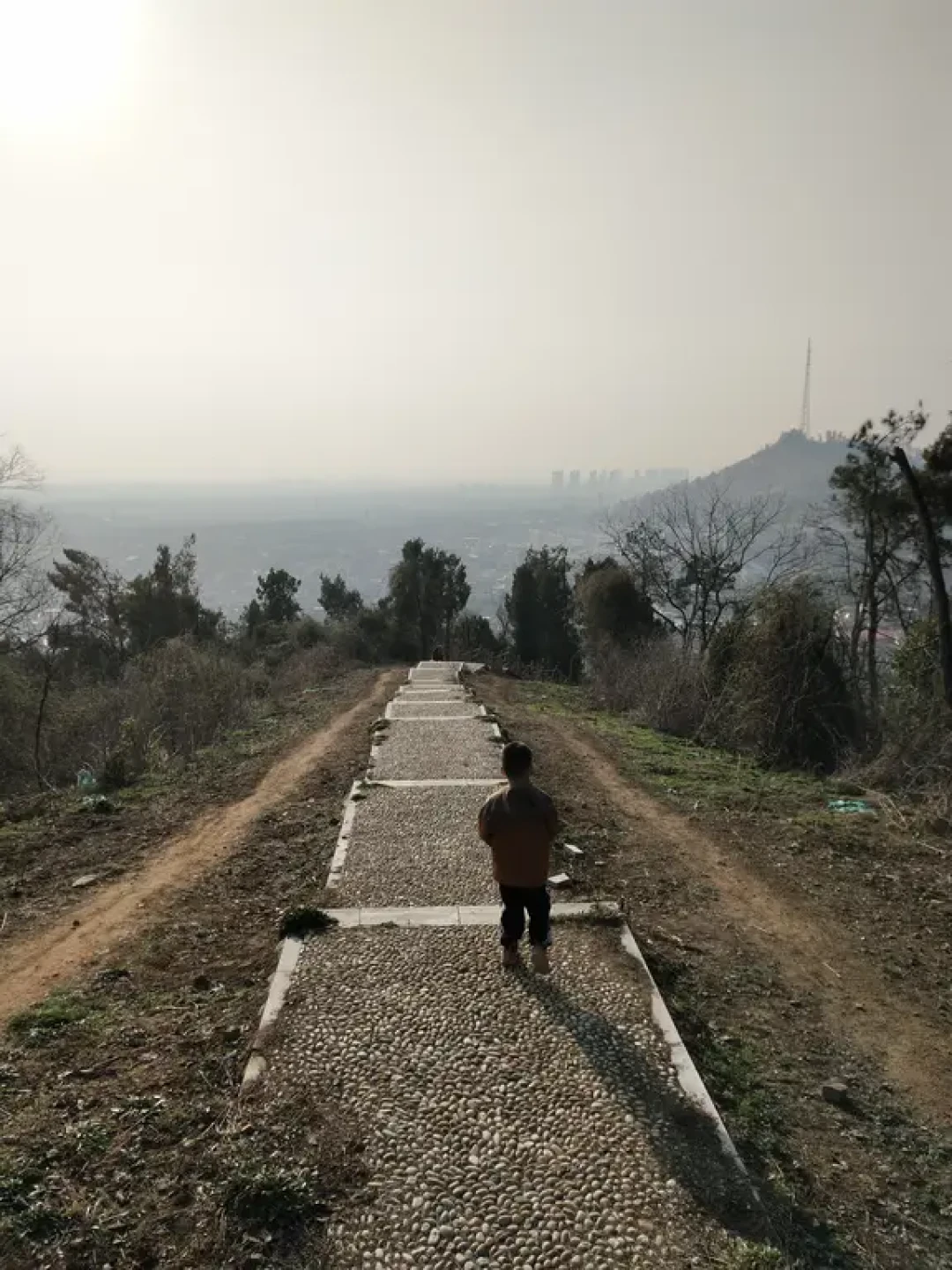 江夏小青八徒爬山6km|不花钱溜娃（11/100）