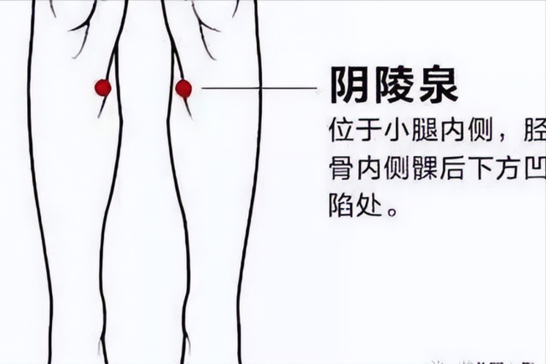 脾虚别乱补了！3个“天然健脾开关”，常按揉帮着排湿助消化