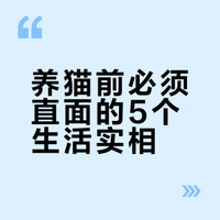 养猫前要考虑的事项（中）关于封窗，适猫化改造，猫毛，睡眠，抓咬这些与可爱相伴的烦恼希望给想养猫的朋友一些参考#微博超有用视频大赛##微博vlog大赛# 卡有一万种借口的微博视频