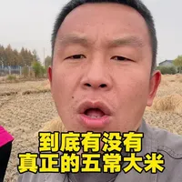到底能不能买到真正的五常大米！#三农 #优质农产品 #五常大米