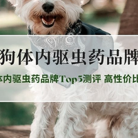 2026狗狗体内驱虫药品牌Top5测评 高性价比安全款首选推