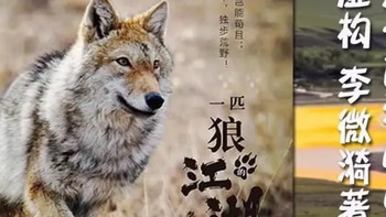 人与狼的羁绊，自由与生命的重量