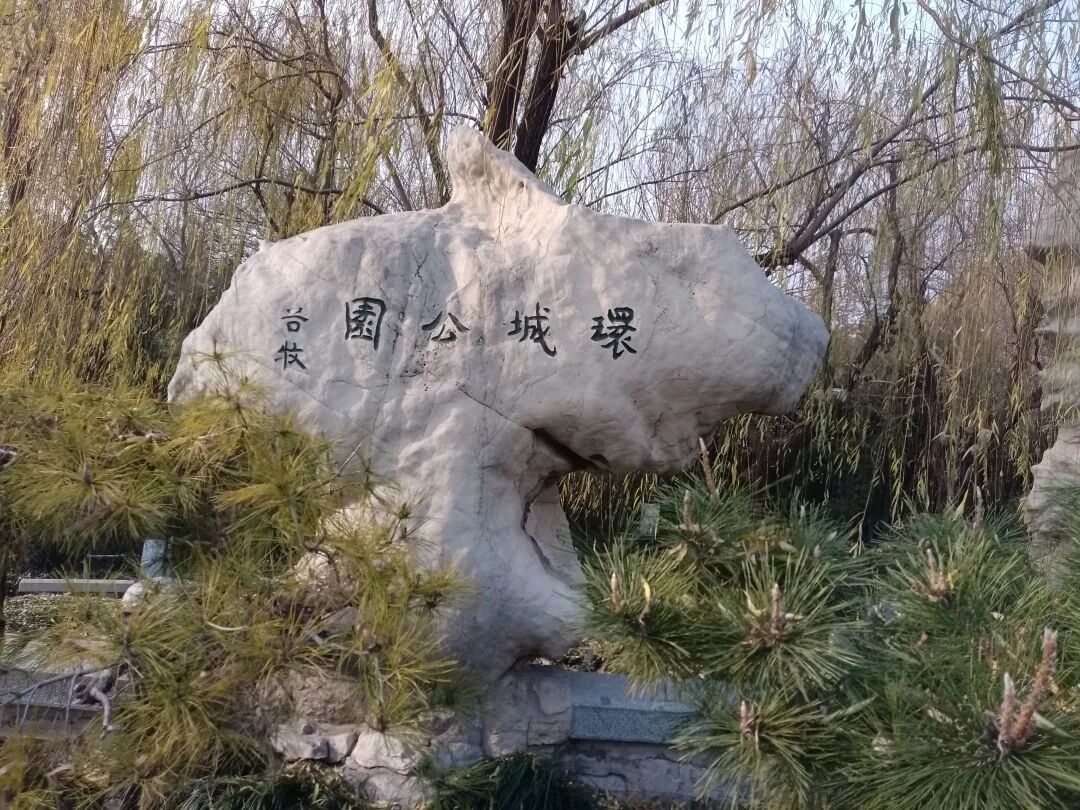 70后姐姐，4小时3万步，徒步环游济南护城河：在古城泉水间，寻找老舍笔下济南的冬天