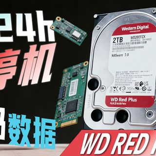 家庭自建NAS神盘！一块WD RED Plus，如何让全家视频照片无忧存储？