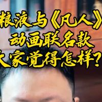 五粮液与《凡人》的动画联名款，大家觉得怎样？