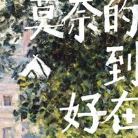 一条视频讲透莫奈的画到底好在哪？