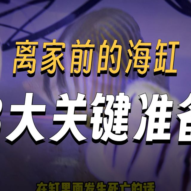 马上春节长时间不在家海缸需要注意什么