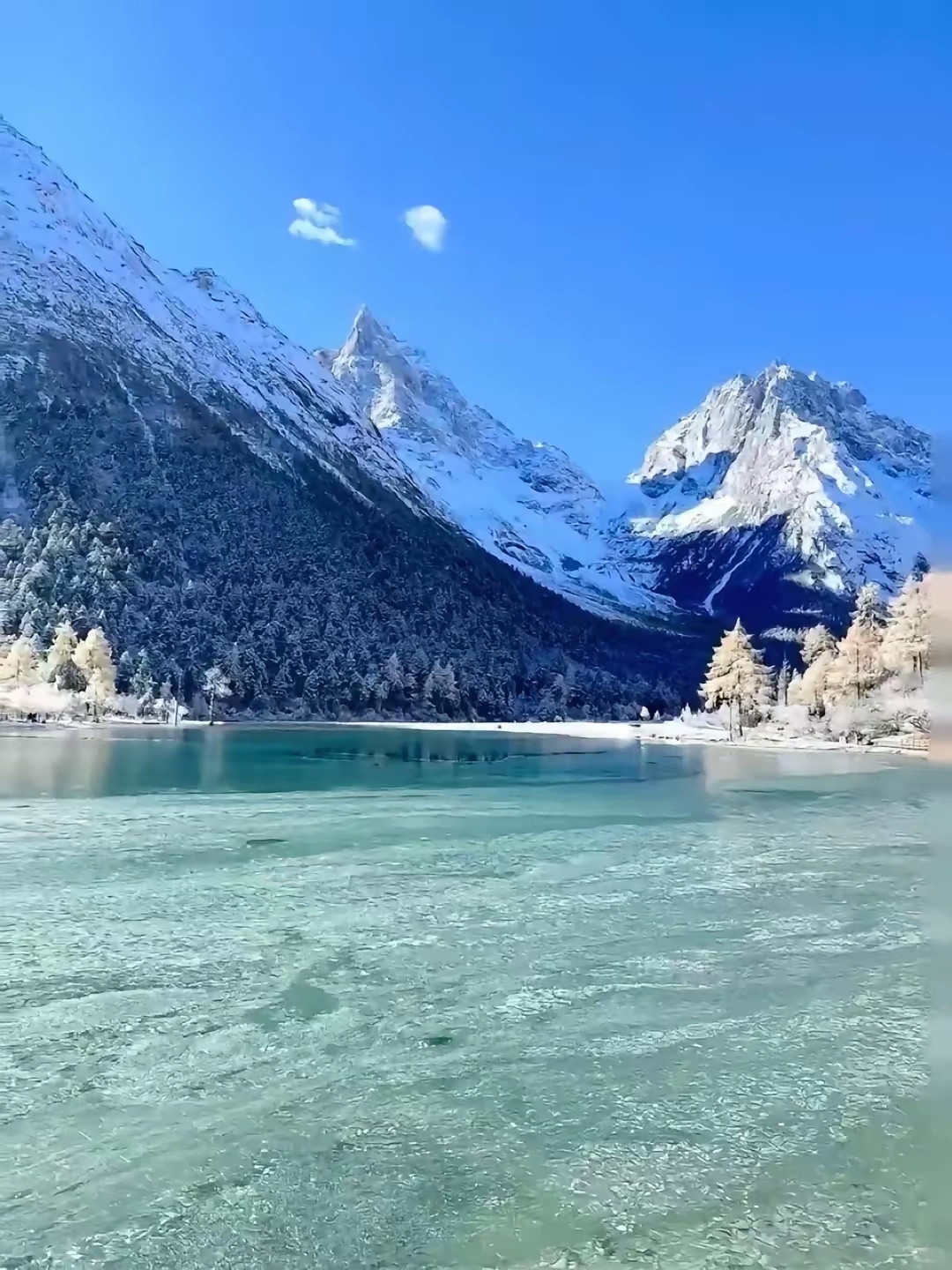 直击毕棚沟颜值巅峰:雪山、雾凇与彩林交织的童话世界