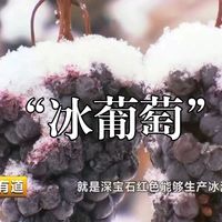 产业—冰葡萄