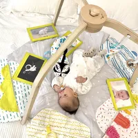 别只看“早教”标签！0-6月宝宝健身架，材质安全与多阶段适配才是关键