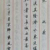 历届全国钢笔书法大赛（三）特等奖得主：顾中安作品欣赏