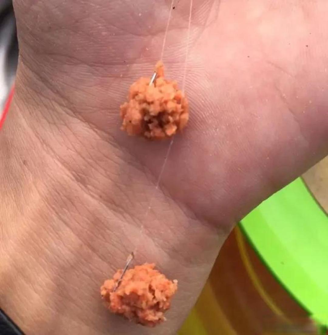 立春后的鲫鱼就爱这一口!如此搭配饵料,大板鲫也连连咬钩