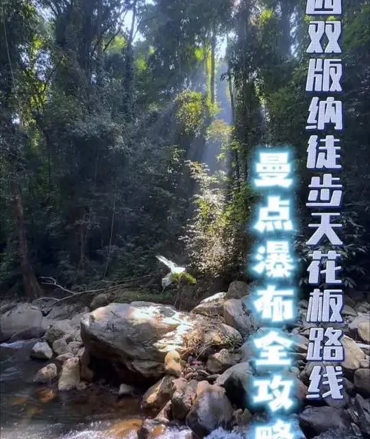 我的私人宝藏级徒步路线（视频虽长，值得拥有） 1、曼点瀑布二轮电动车亦可到达，电量不够村口修车铺花点钱就可以充电
2、全程注意安全，水路多、石头多，避免摔伤！沟边是原始森林不建议涉足，注意蛇虫（量力而行）
3、注意带好吃的、喝的、防晒、充电宝，记得把垃圾带走（森林防火尽量不要吸烟）
4、请我当向导私信#徒步 #大山里的原生态 #旅行推荐官 #西双版纳  #上热门