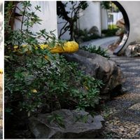 选旅行箱有什么讲究？超详细过年行李箱选购攻略！