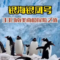 从南极回来后，心情一言难尽 在走遍了祖国的大好河山后，我和爱人决定去南美和南极玩一趟，想看一看那地球的另一面有没有在国内看不着的别样风景，因为我们不会外语所以报了一个去南美和南极的旅行团#南美 #南极 #旅游攻略 #旅游推荐官 #退休旅行