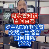 电吹管知识百问百答 罗兰AE30电吹管突然产生怪音如何排除 电吹管知识百问百答 罗兰AE30电吹管突然产生怪音如何排除#电吹管#罗兰电吹管 
