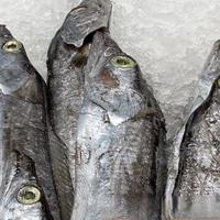 买带鱼，碰到这3种带鱼转身走就对了！水产店老板：从不让家人吃