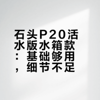 石头P20活水(水箱版)感受(持续更新)