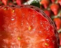 熊出没电影票购买渠道排行榜（2026 春节档实测版）