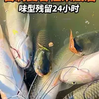今天分享一款100%成功的一个自制果酸,适合气压低,鱼起浮用,适应的草鱼,鳊鱼,翘嘴,鲤鱼,青鱼,鲫鱼#果酸 #果酸玉米 #钓鱼运动才是抖音的顶流 #青年创造者成长计划