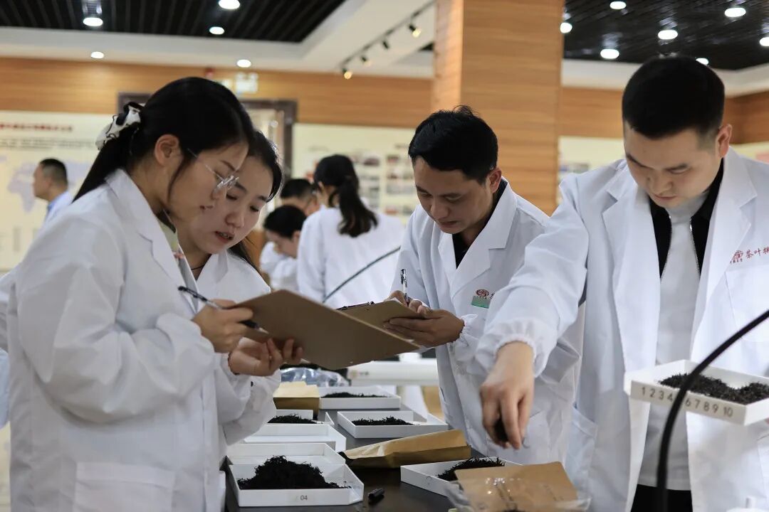 从经验到算法,茶叶数字化、智能化拼配技术研究进展
