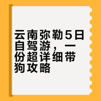 Live|2026.02云南弥勒5天4晚（自驾带🐶）