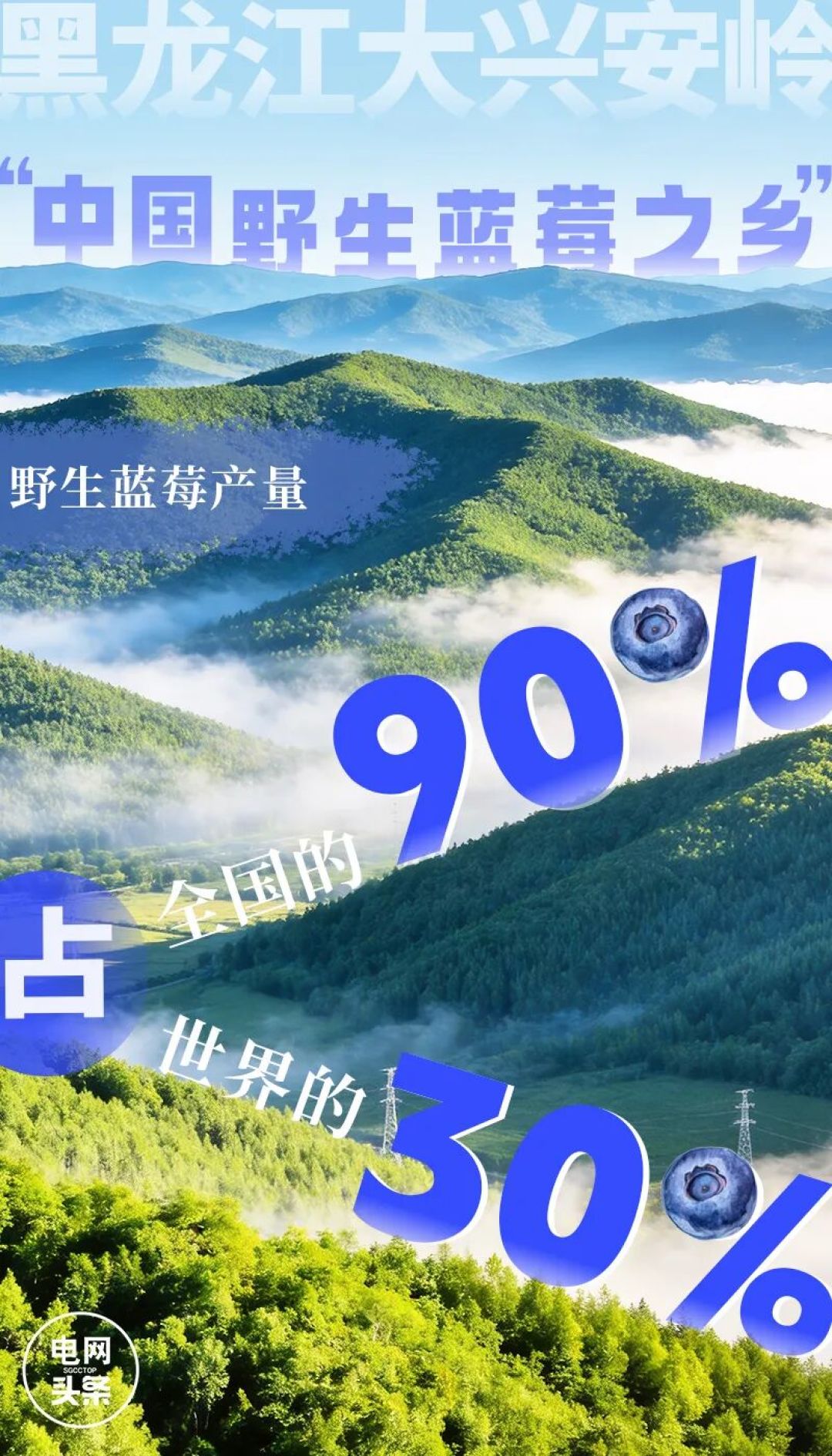 好吃,爱吃,吃很久了!可是它的“大名”叫什么?