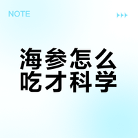 海参怎么吃？新手小白海参入门❗