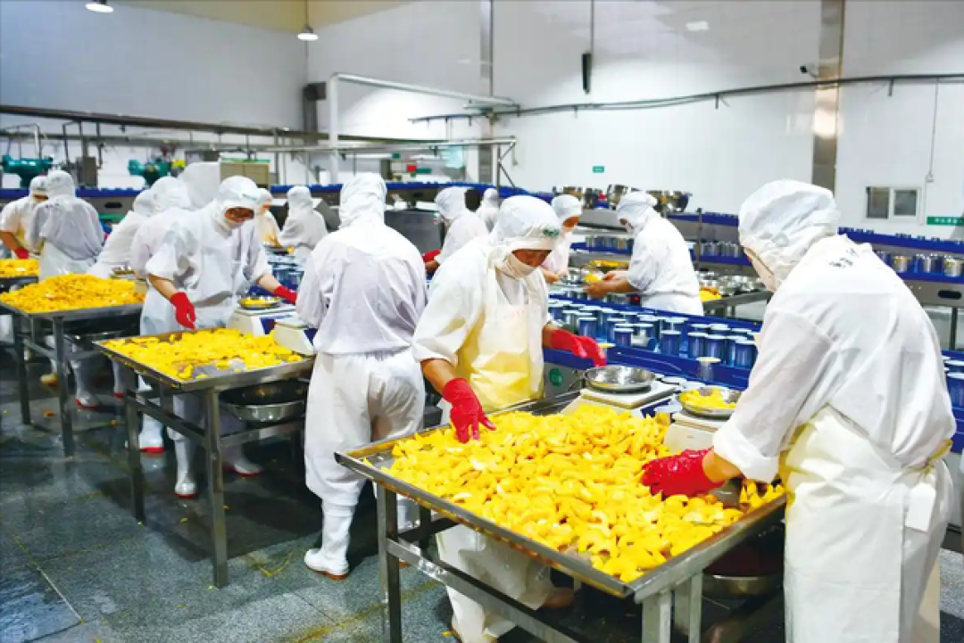 数名院士呼吁糖尿病患者停止食用,比甜食还粘血管,趁早撤下餐桌