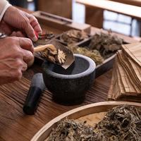 生脉饮联合补中益气汤治低血压：有效协同还是风险叠加？782+用户观点大碰撞