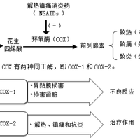 药理学---解热镇痛抗炎药（非甾体抗炎药NSAIDs）
