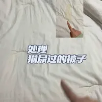 希望能救一床是一床，亲测有效#养猫人 #猫咪尿床 #养猫经验分享