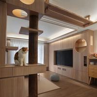 很多「宠物友好」的装修看起来好像只是多了一个攀爬架？有哪些是真正适配宠物需求的空间设计巧思？