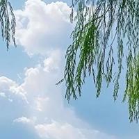 修复软骨药物：独居老人骨关节炎，长期养护选对药