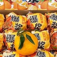 耙耙柑：冬日里的柔软春光