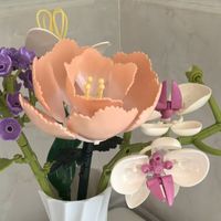 沃马积木永生花，全家参与永不凋谢！