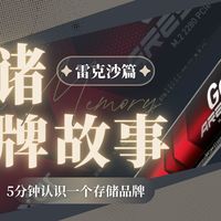 存储品牌故事--雷克沙存储篇