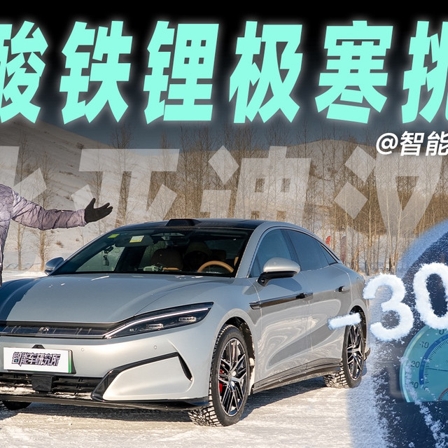 零下30度“折磨”汉L，这表现直接看傻！