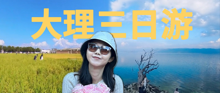 大理三日游攻略|环洱海,逛古城,看稻浪,去追风_国内度假_什么值得买